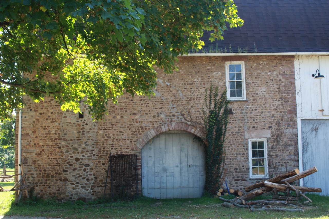 Orleans Cty_Ridgeway_12054 Ridge Rd (3)